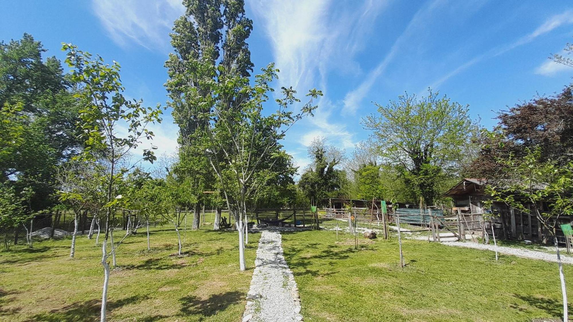 Tiny Houses Genacvale Martvili Exterior photo