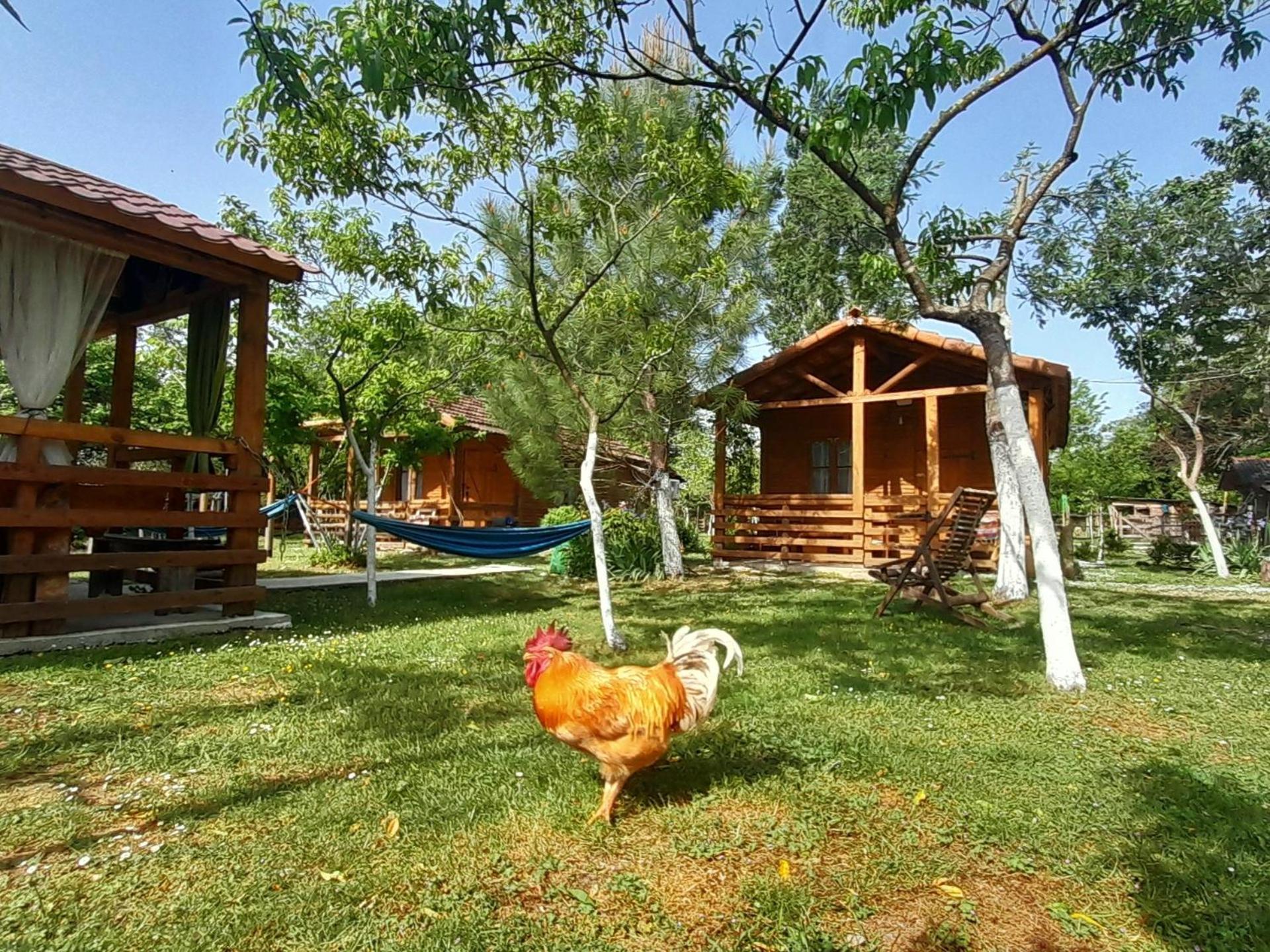 Tiny Houses Genacvale Martvili Room photo